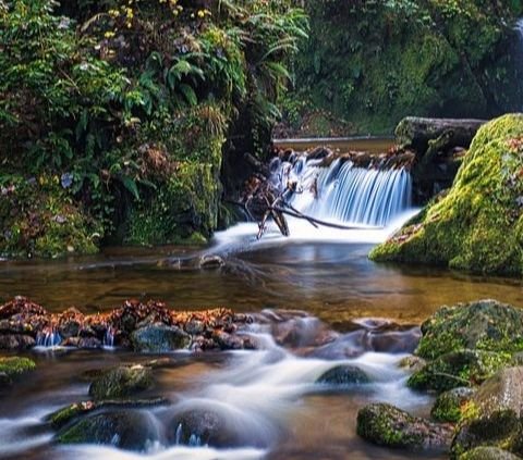 6 Destinasi Wisata di Jabodetabek Terbaru 2024, Cocok jadi Tempat Liburan Lebaran Bersama Keluarga