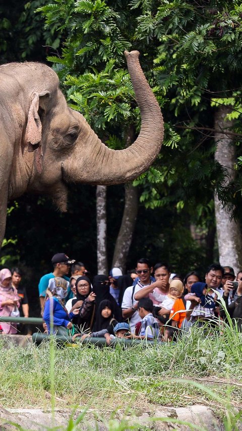 Liburan Murah Meriah di Ragunan, Segini Harga Tiket Masuknya