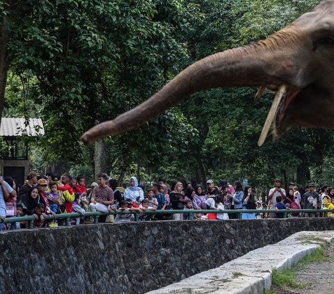 Liburan Murah Meriah di Ragunan, Segini Harga Tiket Masuknya