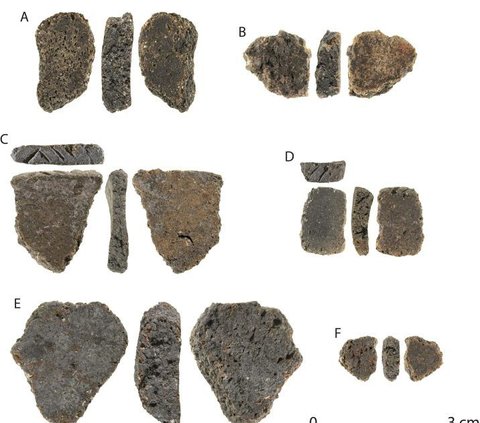 Arkeolog Temukan 82 Pecahan Tembikar Saat Gali Timbunan Sampah, Dibuat Suku Aborigin 3.000 Tahun Lalu