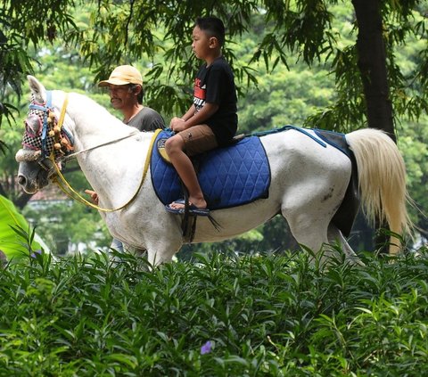 FOTO: Libur Lebaran 2024, Jasa Sewa Kuda Tunggang di Tempat Wisata Jakarta Laris Manis