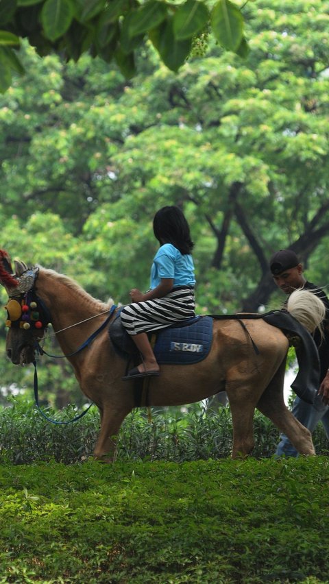 Di kawasan tersebut, ada jasa kuda tunggang yang menawarkan harga sewa yang terjangkau untuk wisatawan. Foto: merdeka.com / Imam Buhori