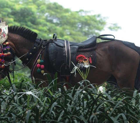 FOTO: Libur Lebaran 2024, Jasa Sewa Kuda Tunggang di Tempat Wisata Jakarta Laris Manis