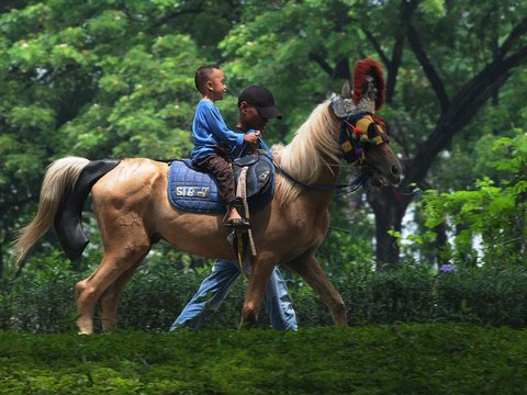 FOTO: Libur Lebaran 2024, Jasa Sewa Kuda Tunggang di Tempat Wisata Jakarta Laris Manis