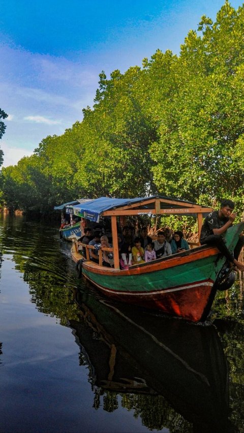 FOTO: Destinasi Wisata Mangrove di Sunge Jingkem Bisa Jadi Pilihan Mengisi Libur Lebaran, Keindahan Alamnya Bisa Bikin Mata Susah Berkedip<br>