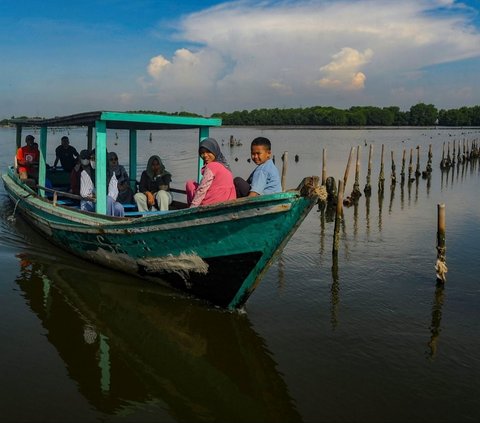 FOTO: Destinasi Wisata Mangrove di Sunge Jingkem Bisa Jadi Pilihan Mengisi Libur Lebaran, Keindahan Alamnya Bisa Bikin Mata Susah Berkedip
