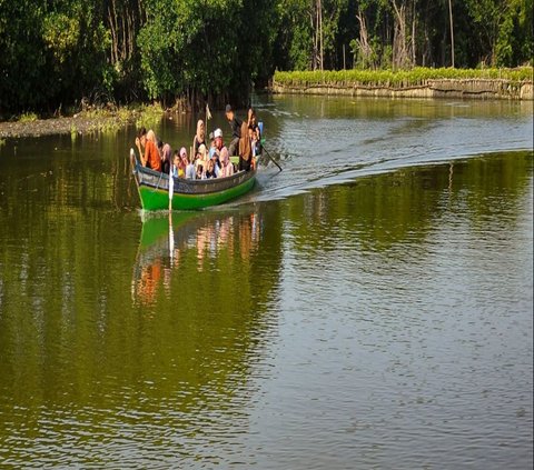 FOTO: Destinasi Wisata Mangrove di Sunge Jingkem Bisa Jadi Pilihan Mengisi Libur Lebaran, Keindahan Alamnya Bisa Bikin Mata Susah Berkedip