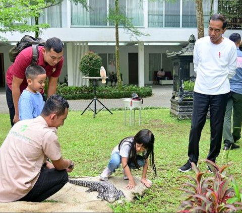 Presiden Jokowi Ajak Cucu Berwiisata di Sibolangit, Sedah Mirah Elus Punggung Buaya