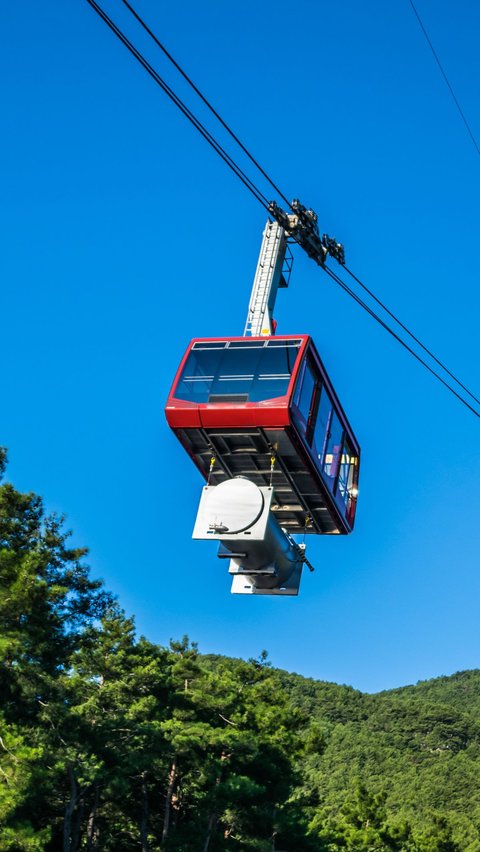 Exciting Rescue of Cable Car Accident in Turkey, 174 People 'Hanging' for Almost a Day