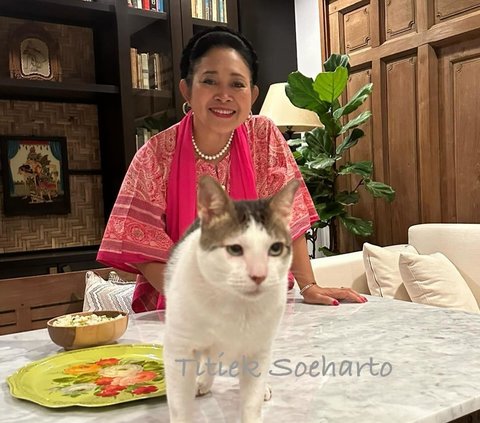 Genap Usia 65 Tahun, Intip Transformasi Titiek Soeharto dari Remaja hingga Kini, Tetap Cantik dan Awet Muda