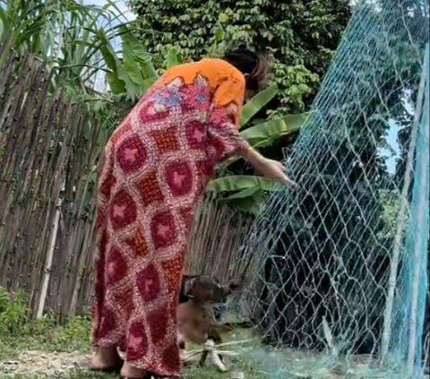 Viral Wanita Bagikan Perbedaan saat Pulang Kampung, Tak Seperti di Jakarta