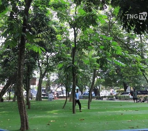 Yuk Bersantai di Taman Pisang Karawaci Tangerang, Wisata Keluarga Sejuk di Tengah Kota