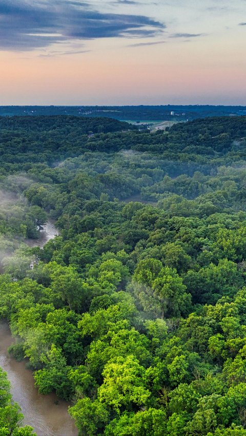 Kota Kuno 2.500 Tahun Ditemukan di Hutan Amazon, Lebih Besar dari Suku Maya