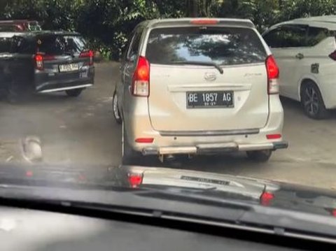 Viral Aksi Pengunjung Taman Safari Bebal Buka Kaca Mobil saat Lewati Kandang Singa, Bikin Was-was