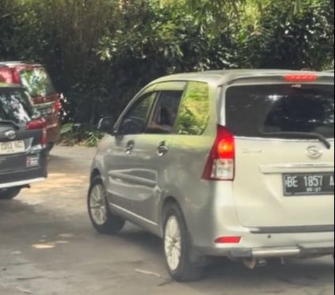 Viral Aksi Pengunjung Taman Safari Bebal Buka Kaca Mobil saat Lewati Kandang Singa, Bikin Was-was