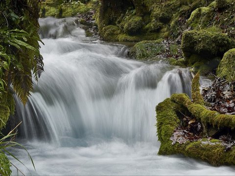 2. Curug Bajing