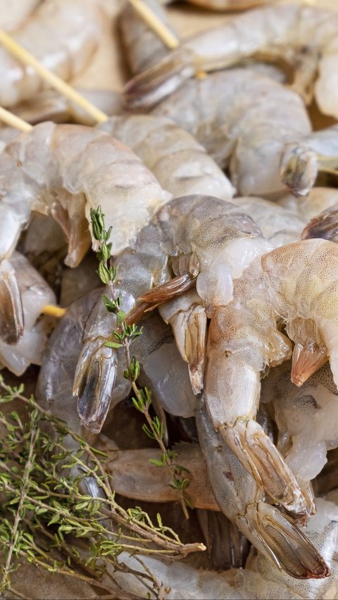 Lebih dari 30 spesies udang dalam keluarga Aoridae kini telah dideskripsikan di Jepang.