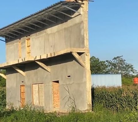 Thin and Quirky House Design in a Cornfield, Front is Fine, but the Back is Hilarious, Netizens: Like Another Natural Gateway