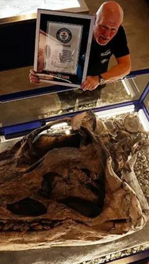 Tengkorak Monster Laut Mematikan Ini Ditemukan, Gigitannya Kalahkan T-rex