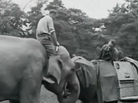 90 Tahun Lalu Ilmuwan Pernah Buat Robot yang Benar-benar Persis Gajah, Ini Wujudnya