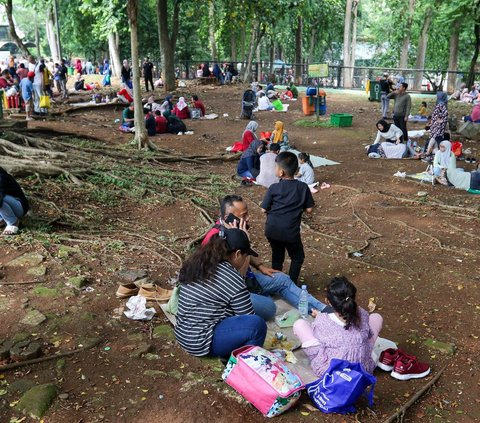 Nasib Naas Satu Keluarga Tertimpa Pohon saat Liburan ke Ragunan