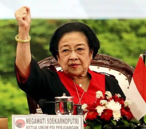 Megawati Ajukan Amicus Curiae, Ketum Pro-Jokowi: Dia Punya Kepentingan tapi Tidak Terlibat Sengketa