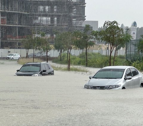 VIDEO Detik-Detik Seseorang Selamatkan Kucing Bergantung di Pintu Mobil Saat Banjir di Dubai