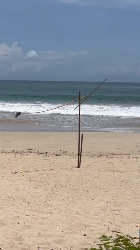 Indahnya Pantai Legon Pari, Bersih dari Sampah dan Pasirnya Putih