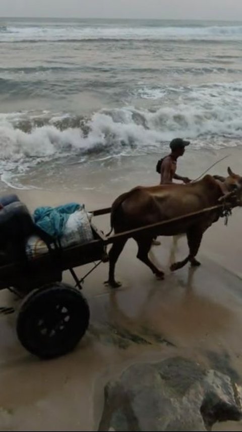 Jalan di Lampung Rusak Parah Warga Bertaruh Nyawa Lewat Pantai, Dana Desa Ramai Dipertanyakan<br>