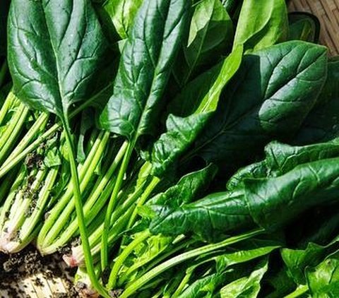 12 Jenis Sayuran yang Wajib Dikonsumsi Saat Puasa, Dijamin Sehat dan Bantu Tingkatkan Daya Tahan Tubuh