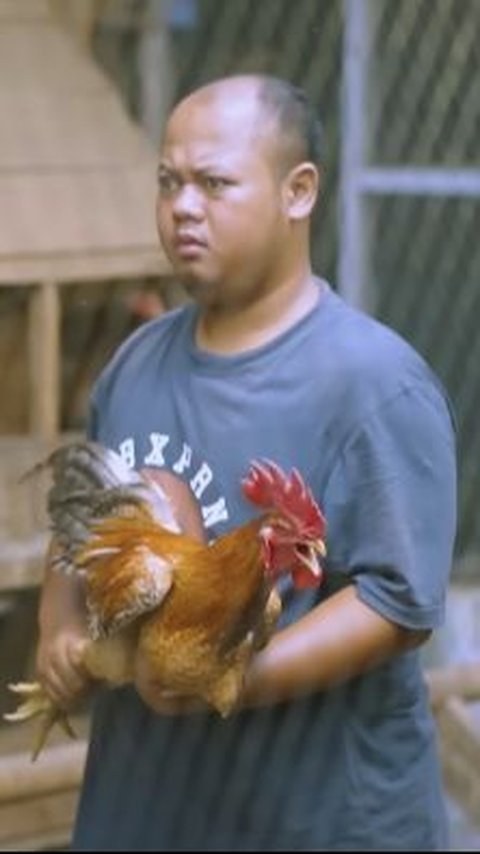 Resign di Dunia Pendidikan, Pria Ini Kini Sukses Berternak Ayam Kampung dan Buka Pelatihan<br>