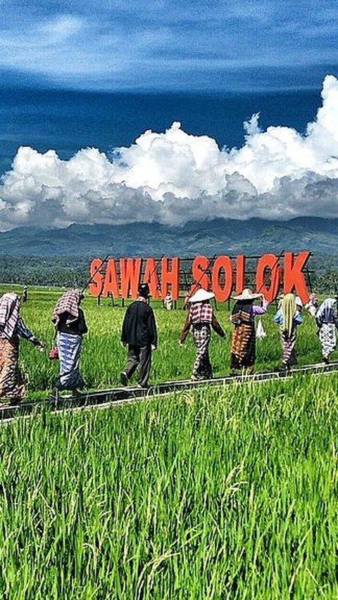 Terkenal Punya Beras Kualitas Unggulan, Ini Fakta Menarik Kota Solok di Sumatra Barat<br>
