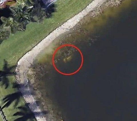 Thanks to Google Earth, Residents Accidentally Uncover 22-Year-Old Missing Person Mystery that has Actually Been Visible Since 2007
