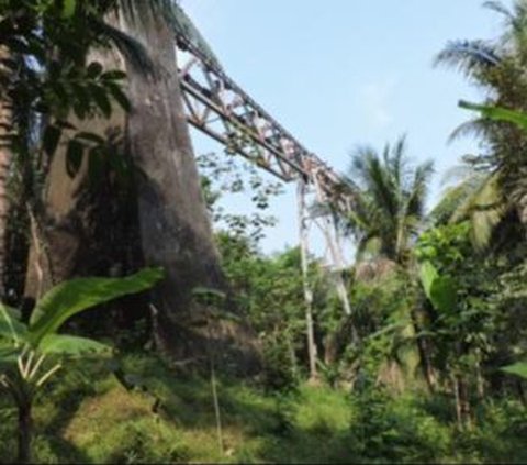 Menilik Sejarah Jembatan Cikacepit Pangandaran, Jembatan Kereta Api Terpanjang di Indonesia yang Kini Kondisinya Memprihatinkan