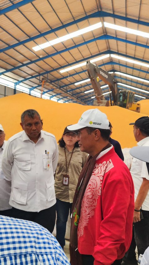 Ketimbang Impor, Mentan Amran Minta Bulog Segera Beli Jagung dari Petani, Segini Harganya