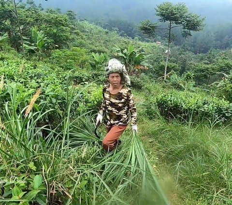 Sering Syuting Bareng Almarhum Olga Syahputra, Mantan Artis ini Kini Tinggal di Pedesaan 'Mengurus Kambing'