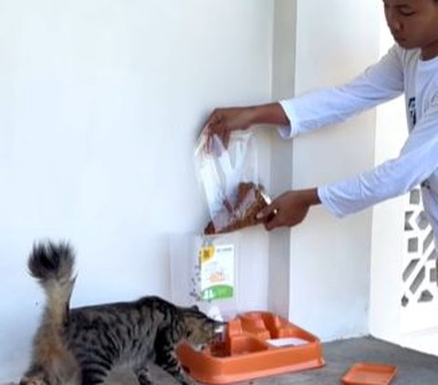 Mengenal Keunikan Masjid Sejuta Pemuda di Sukabumi, Ramah Kucing dan Sediakan Kopi bagi Pengunjung