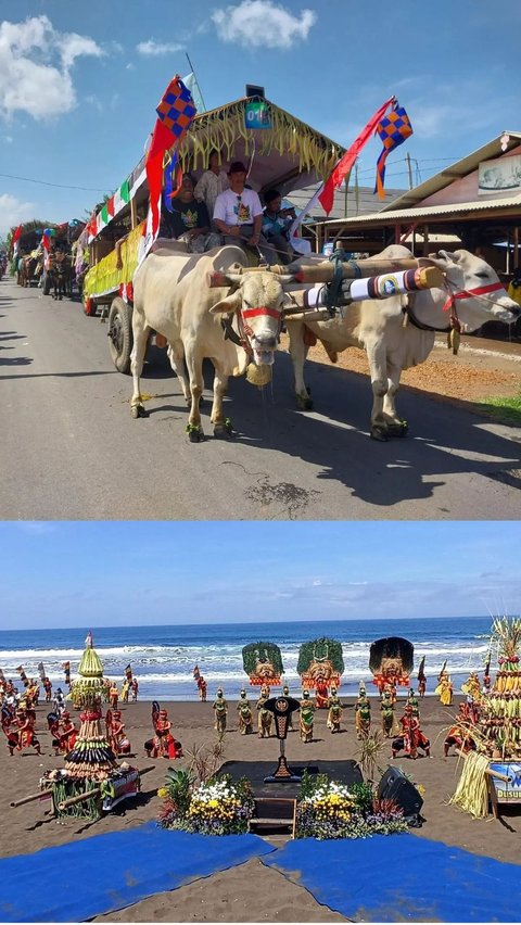 Keseruan Parade Pegon, Arak-Arakan Warga Jember Naik Cikar Sapi Lalu Makan Ketupat di Tepi Pantai
