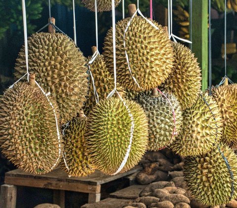 Istimewanya Durian Si Layung, Manis Legit dari Tasikmalaya yang Bikin Penikmatnya Terlena