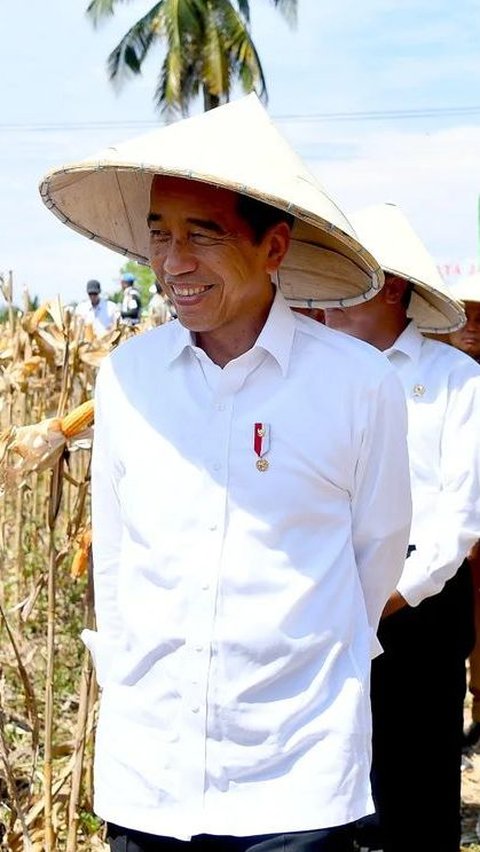 Jokowi Kunker Bareng Pengusaha dari NasDem saat MK Putuskan Menangkan Prabowo Tolak Gugatan 01 & 03 