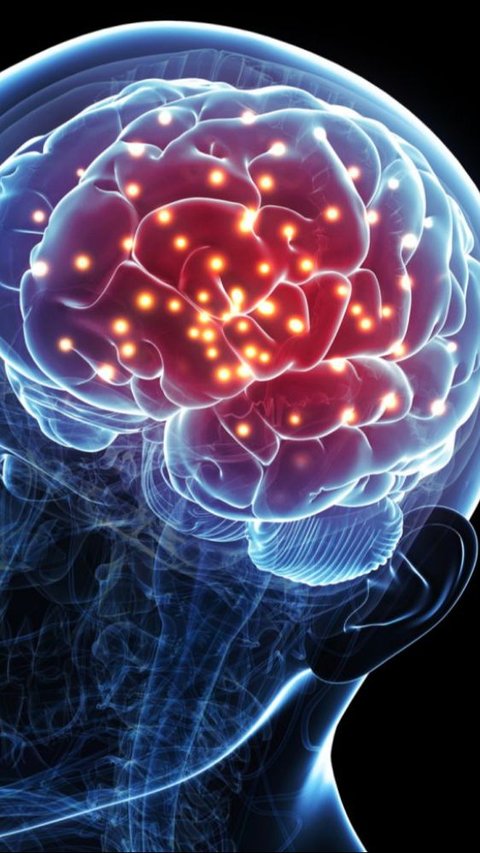 <b>6 Jenis Makanan yang dapat Merusak Otak, Kenali Cara Menguranginya</b>