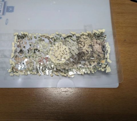 Child in Japan Spends 3 Weeks Assembling 10,000 Pieces of Torn Paper Money to Get a New One