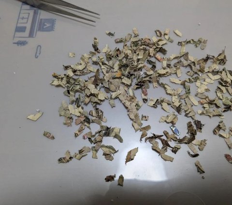 Child in Japan Spends 3 Weeks Assembling 10,000 Pieces of Torn Paper Money to Get a New One