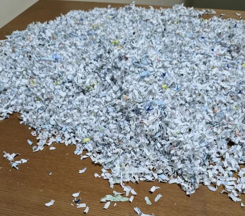 Child in Japan Spends 3 Weeks Assembling 10,000 Pieces of Torn Paper Money to Get a New One