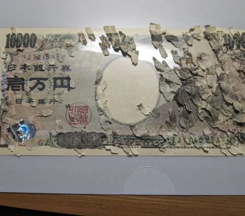 Child in Japan Spends 3 Weeks Assembling 10,000 Pieces of Torn Paper Money to Get a New One