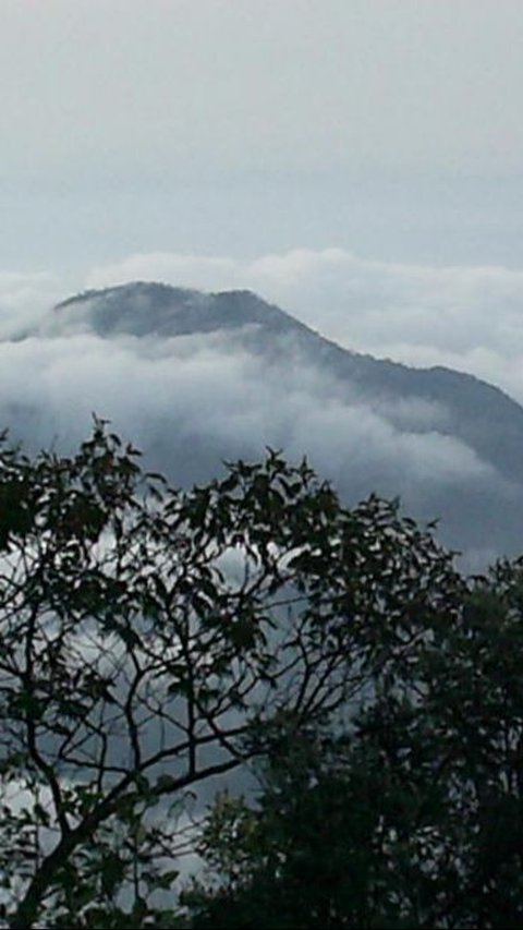 7 Mitos Gunung Lawu Paling Populer, Pasar Setan Sampai Pantangan Baju Hijau