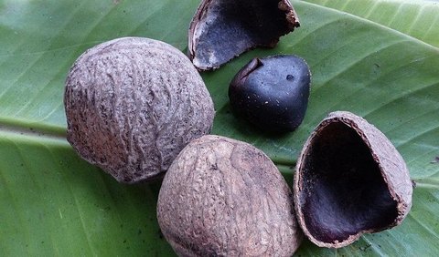 Pewarna Makanan Alami