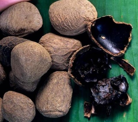 Pewarna Makanan Alami