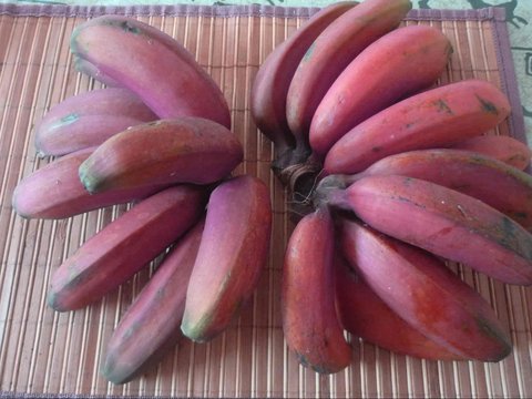 Manfaat Pisang Merah untuk Kesehatan