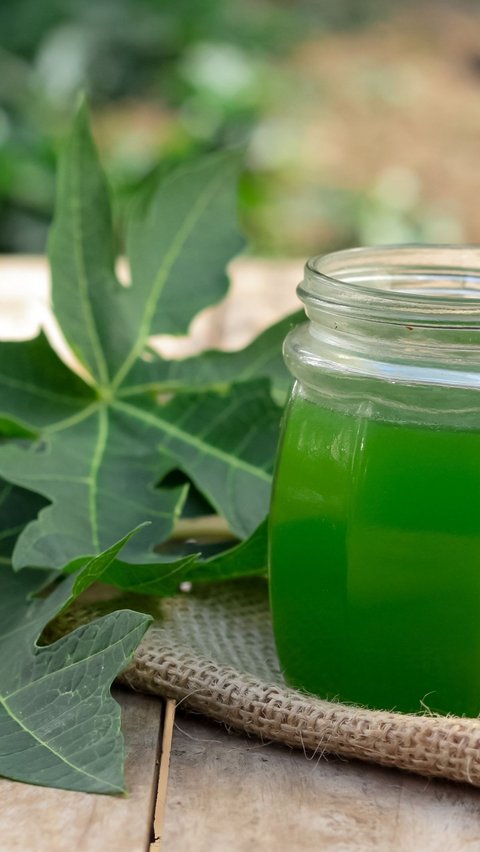 Relieve Menstrual Pain by Drinking Papaya Leaf Boiled Water